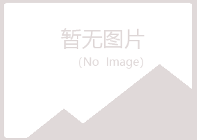 阳西县夏岚艺术有限公司